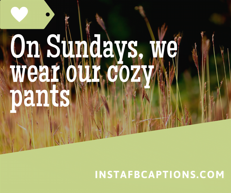 Best Caption for Happy Sunday - On Sundays we wear our cozy pants - 50+ SUNDAY Instagram Captions 2021