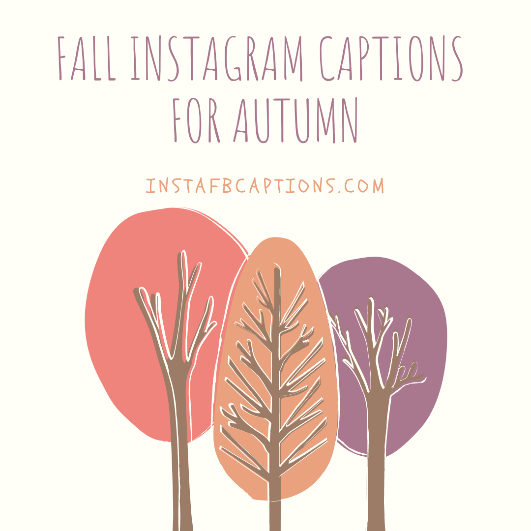 120 FALL Instagram Captions For AUTUMN 2021 Instafbcaptions