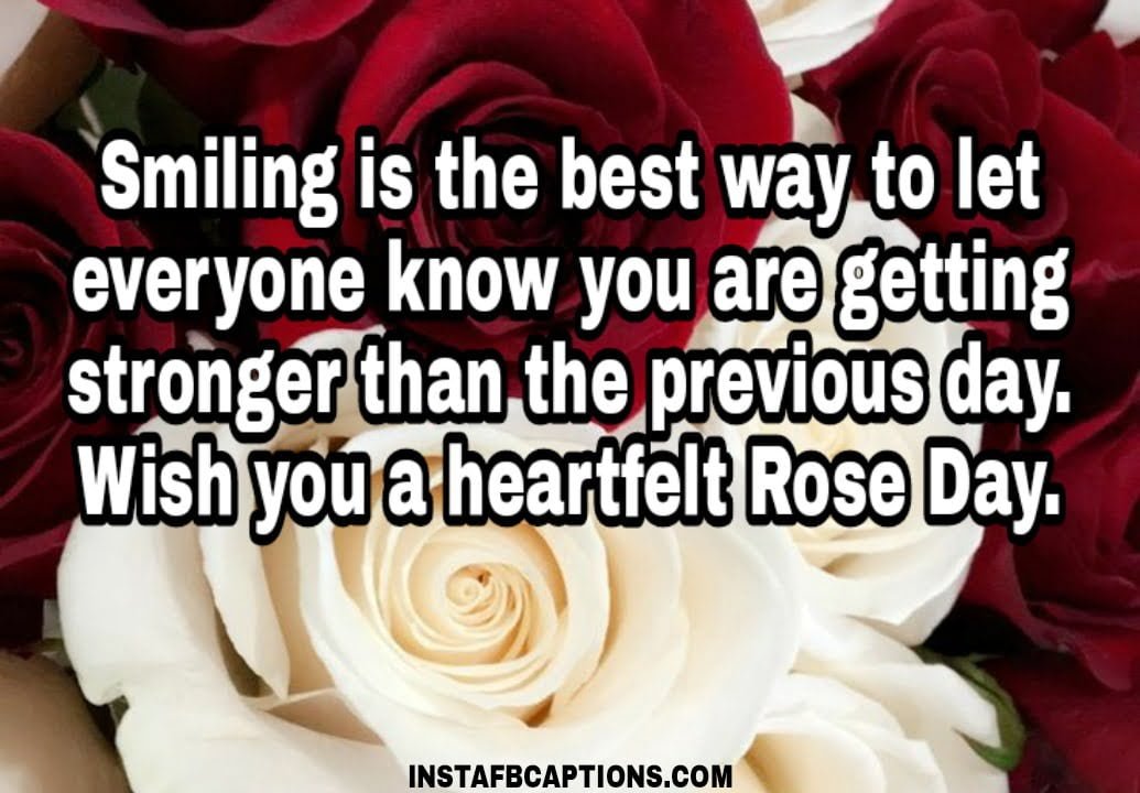 Rose Day Quotes For Cancer Patients - Rose Day Quotes for Cancer Patients - 250+ ROSE DAY Instagram Captions & Quotes 2021