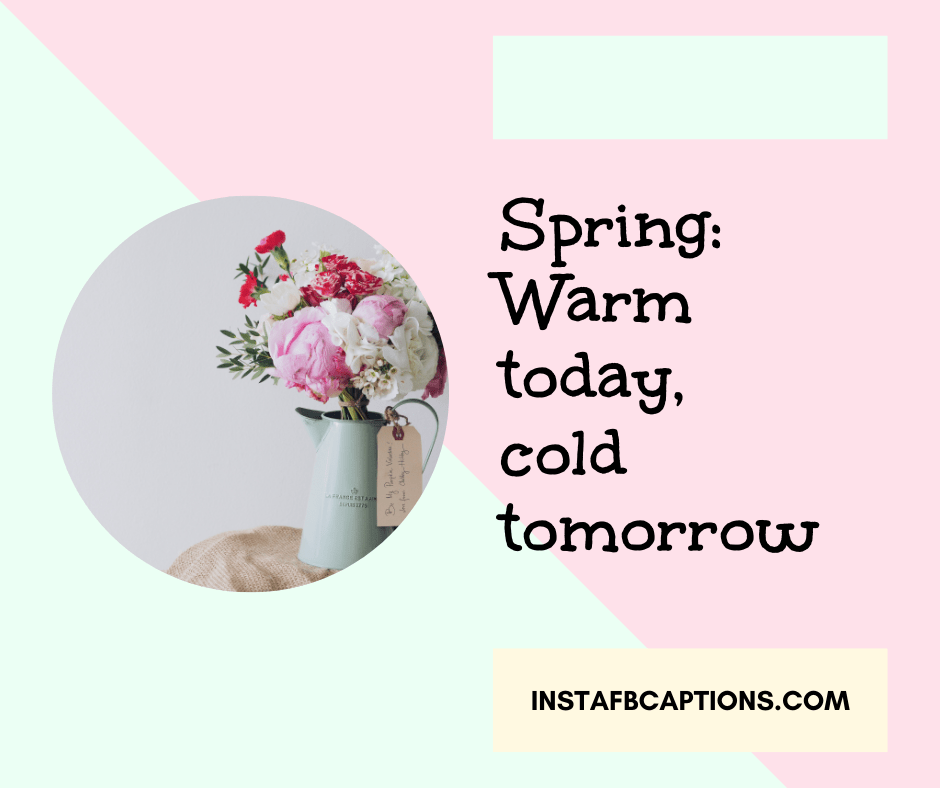 May Quotes for Calendar - Spring Warm today cold tomorrow - 50+ MAY Instagram Captions & Quotes 2021