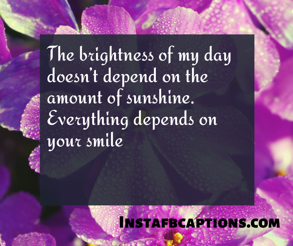 December Quotes for Calendar - The brightness of my day doesn t depend on the amount of sunshine - 180+ DECEMBER Instagram Captions & Quotes 2021