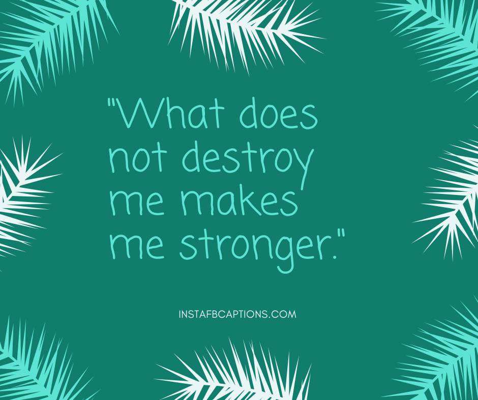 December 1st Quotes - What does not destroy me makes me stronger - 180+ DECEMBER Instagram Captions & Quotes 2021
