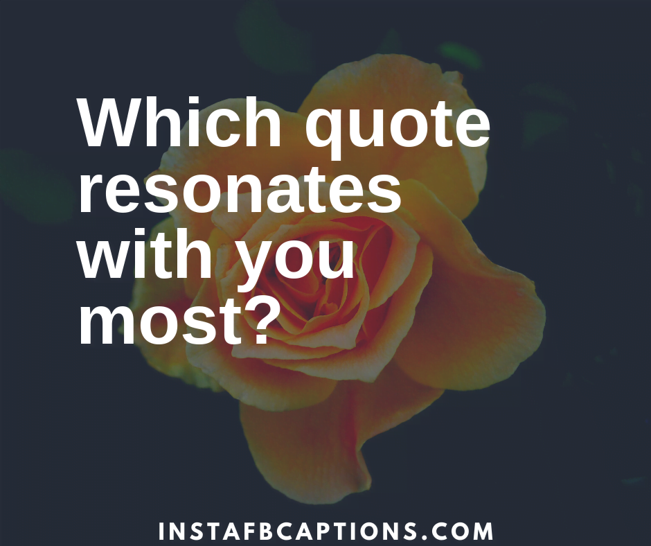 Which Quote Resonates With You Most - Which quote resonates with you most - 150+ ASK ME A QUESTION Ideas for Instagram 2021