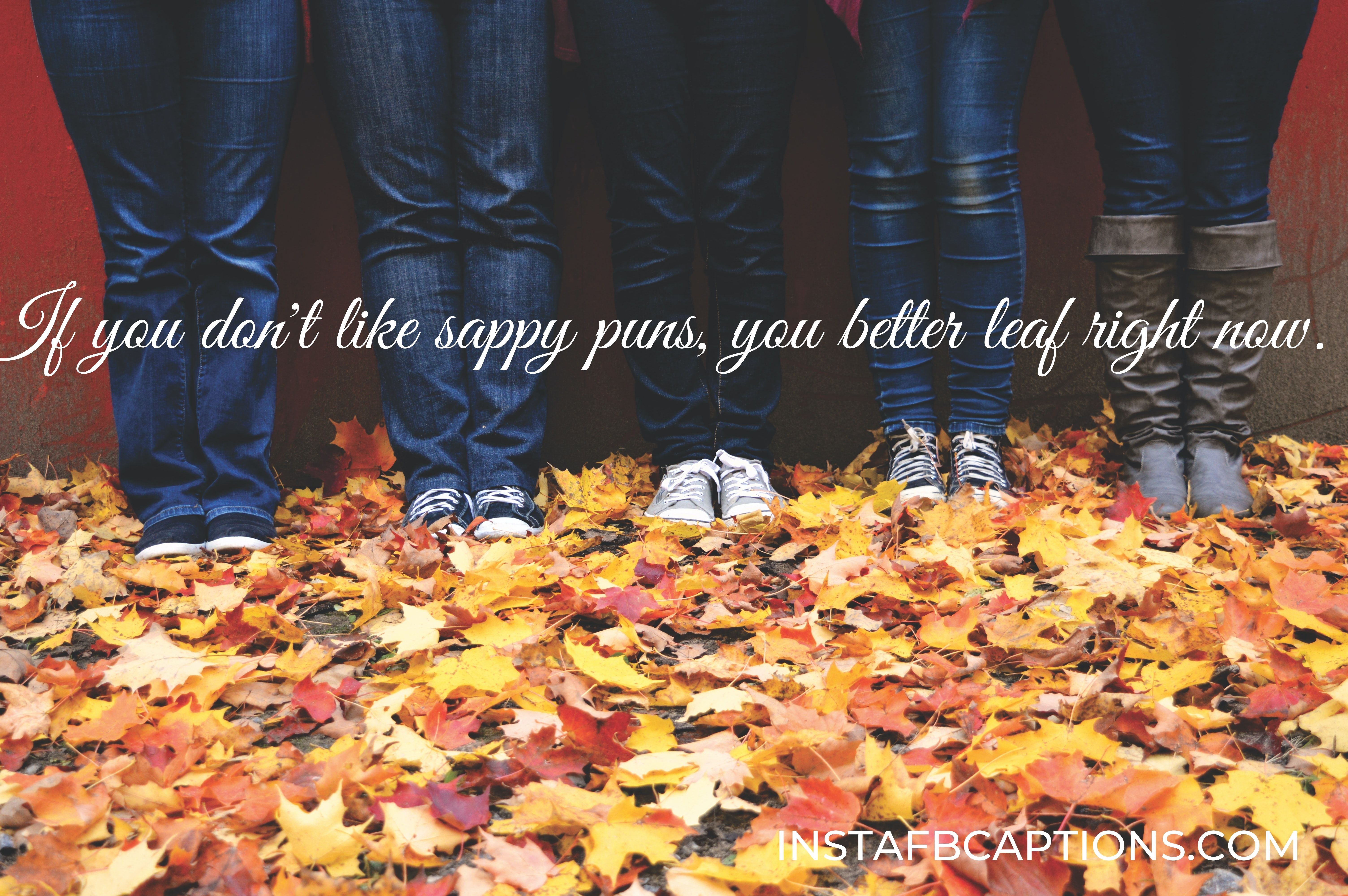 Fall With Friends Captions - Fall with Friends Captions - 120+ FALL Instagram Captions for AUTUMN 2021
