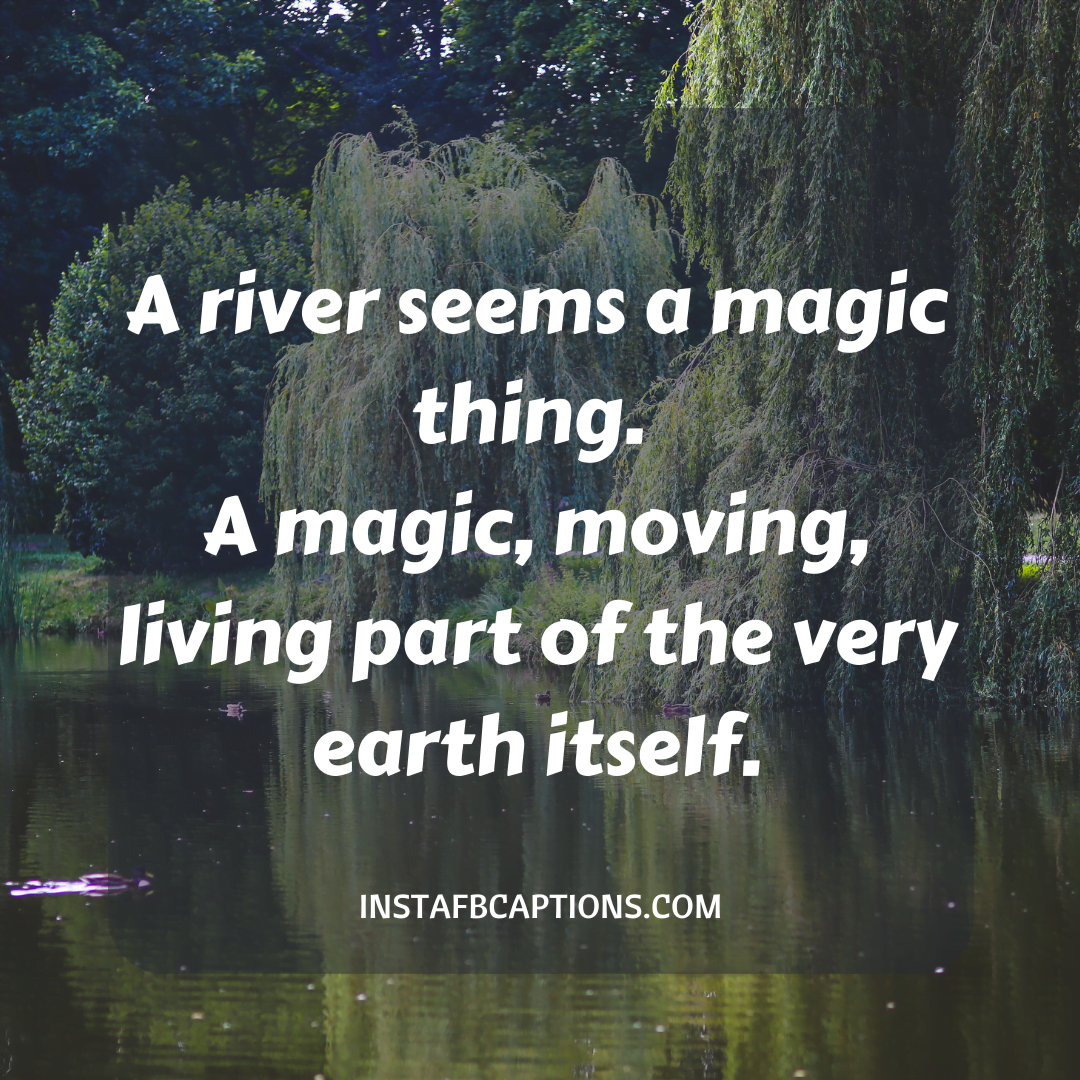 Beautiful River Quotes - Beautiful River Quotes - 113 River Instagram Captions for Pictures with Water in 2021
