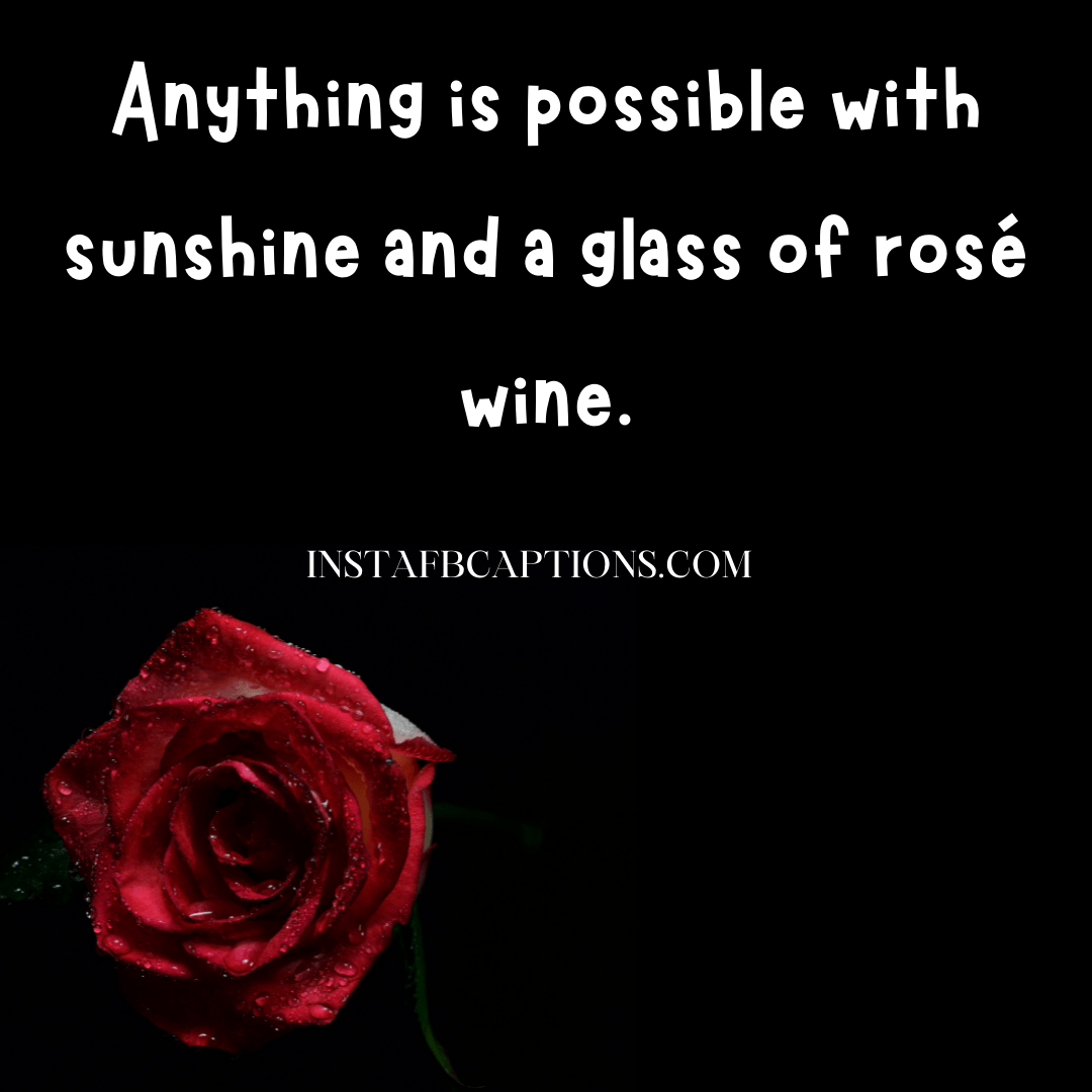 Rose Wine Captions - Rose Wine Captions - 99+ Classiest Captions for Wine Lovers in 2021