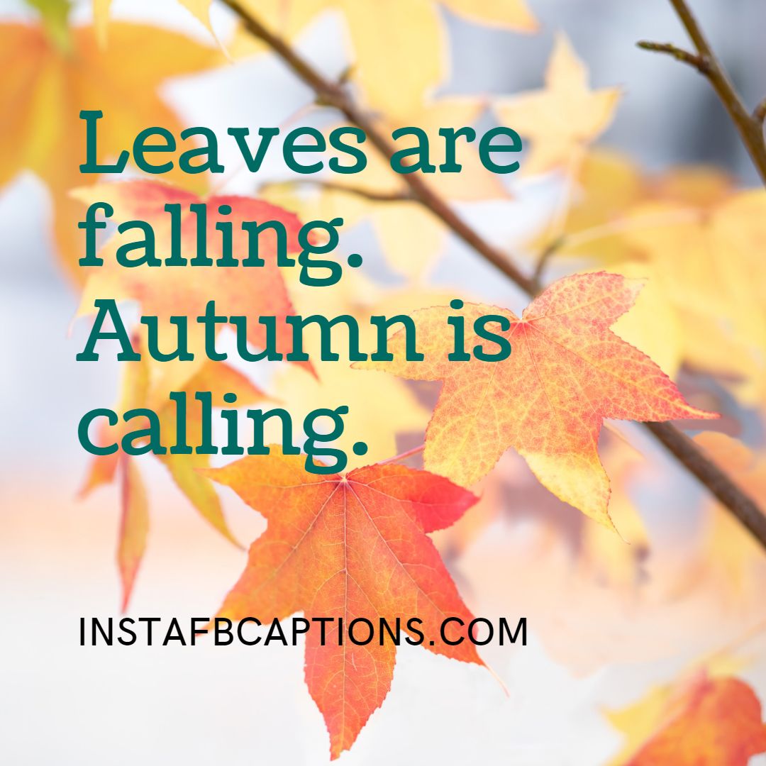 Photography Captions For Green Leaves - Photography Captions for Green Leaves - 100+ OCTOBER FALL Instagram Captions & Quotes for 2021